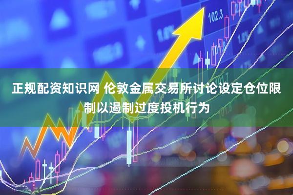 正规配资知识网 伦敦金属交易所讨论设定仓位限制以遏制过度投机行为