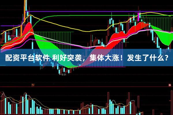 配资平台软件 利好突袭，集体大涨！发生了什么？